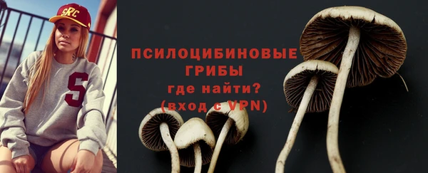 марки lsd Абаза