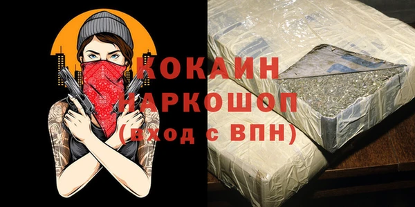 индика Алзамай