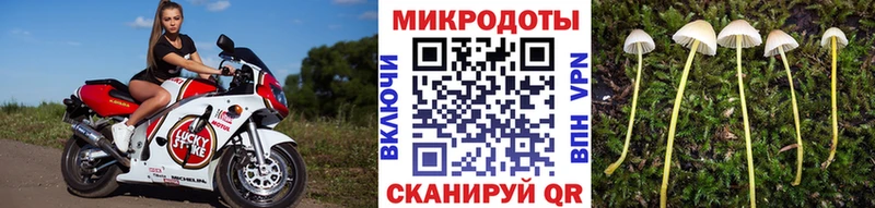 Псилоцибиновые грибы прущие грибы  где купить наркоту  Галич 