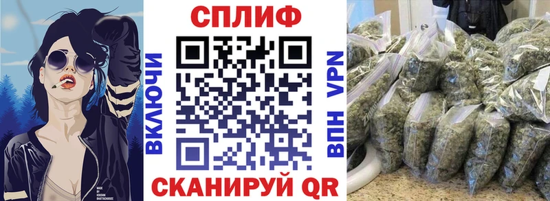 блэк спрут ссылка  Галич  МАРИХУАНА марихуана 